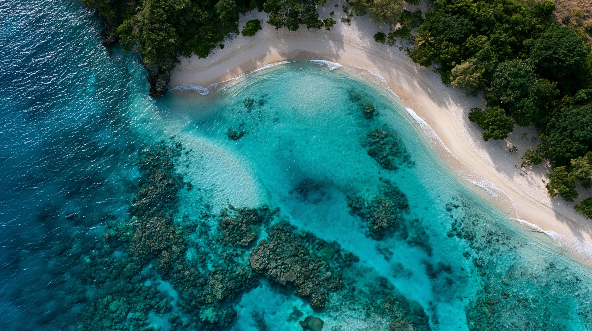 Top-down aerial drone photograph of a secluded white sand beach curved along a turquoise ocean lagoon with a prominent coral reef visible beneath clear water in Vanuatu.
