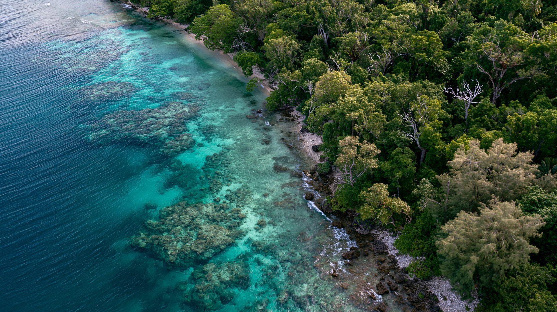 A high-angle aerial view of a dense green tropical forest meeting a rocky, pebbled shoreline, next to a vibrant turquoise and blue coral reef dropping off into deep ocean water in Vanuatu.