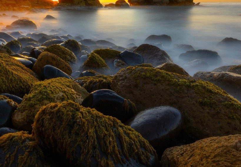 Glass — Photography Community