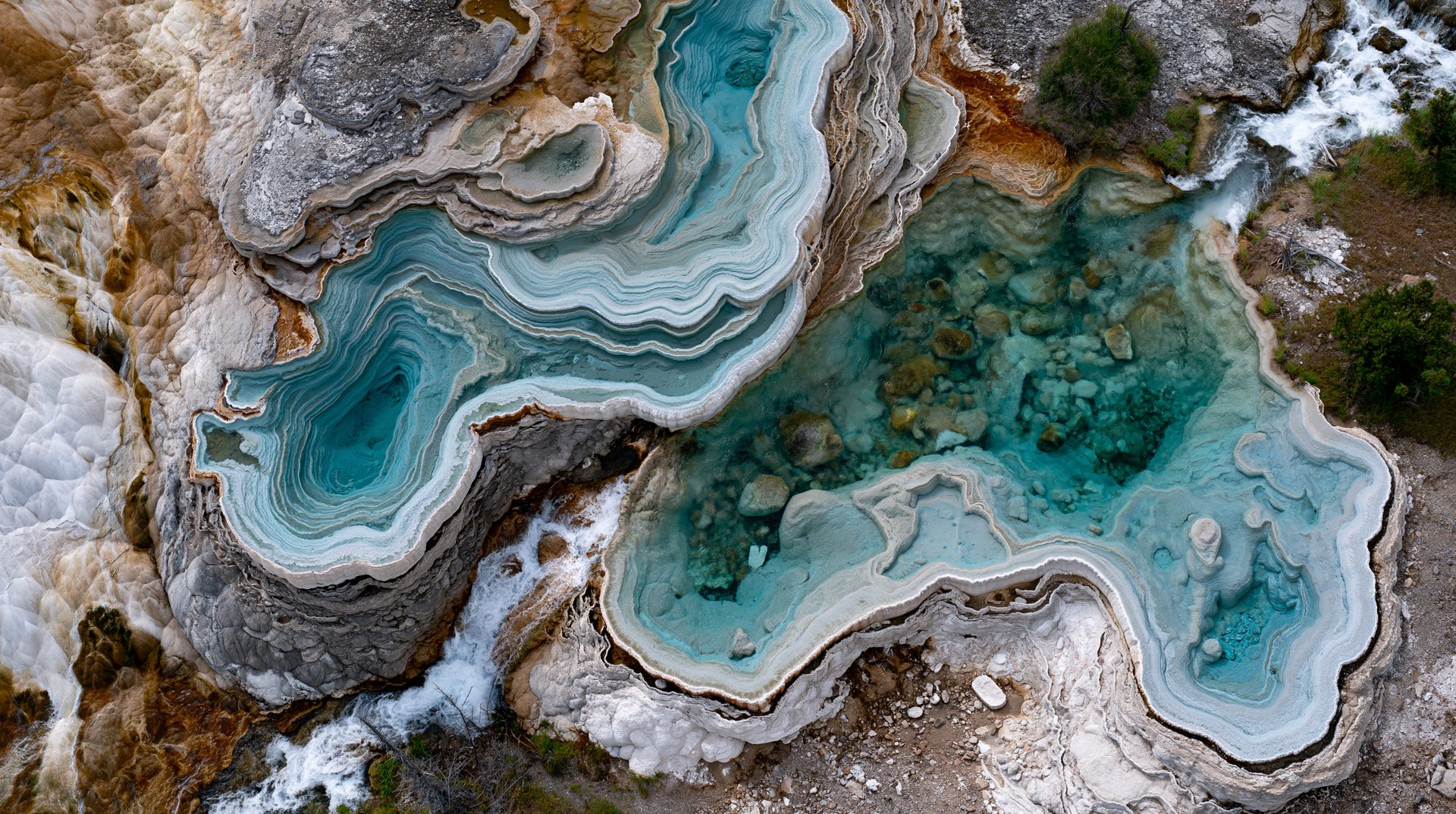 A top-down, abstract aerial photograph of intricate white and amber travertine terraces filled with clear turquoise water and bordered by a rushing whitewater stream at Mammoth Hot Springs.