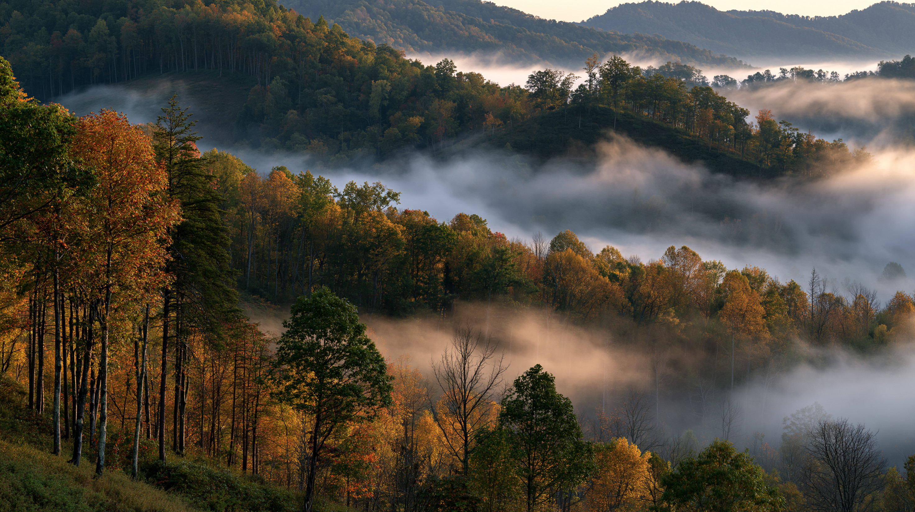 Rolling hills covered in orange and green autumn trees in West Virginia, with dense white morning fog swirling through the valleys under soft sunlight.