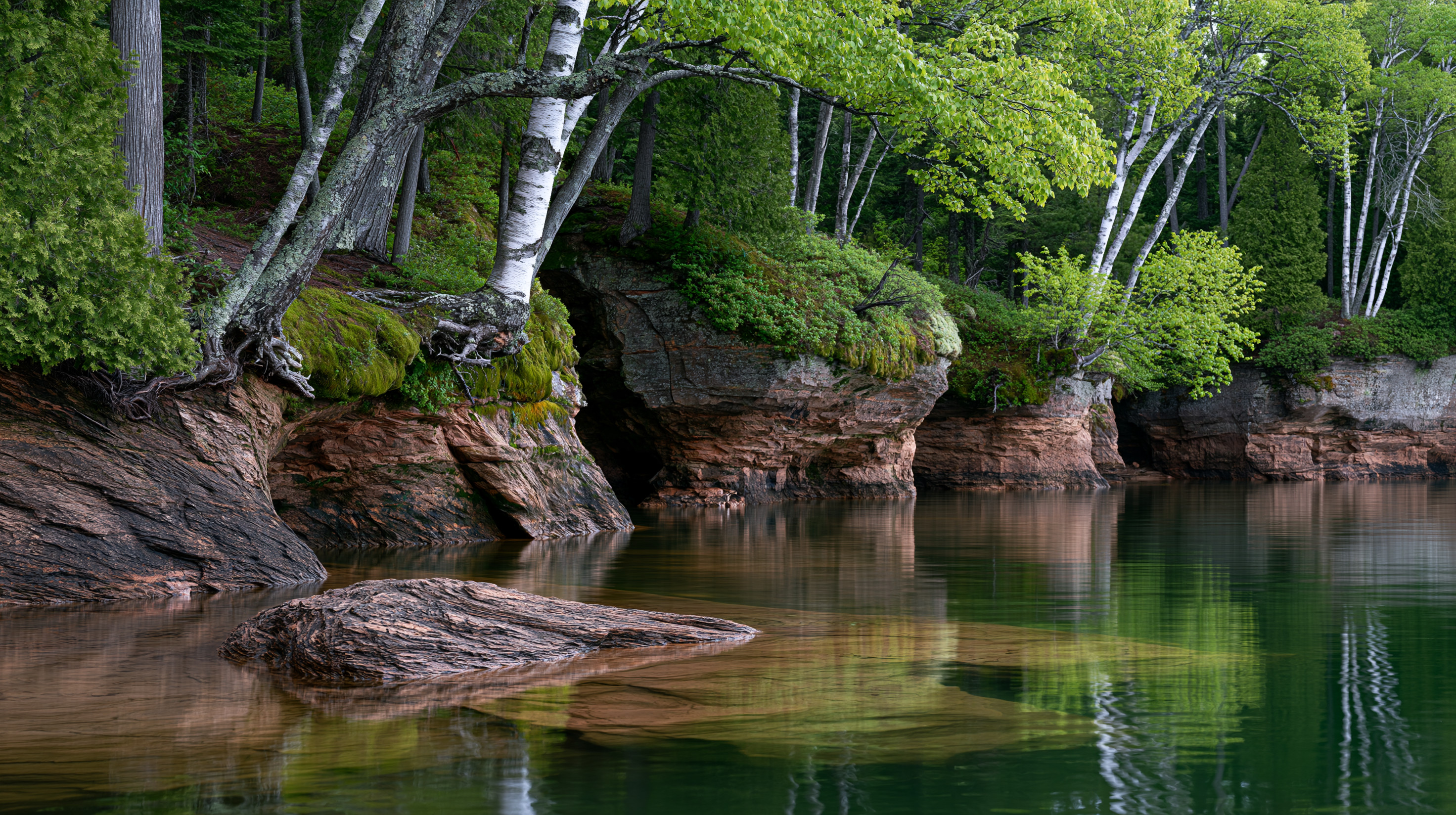 A calm wide-angle view of a rocky sandstone shoreline with small sea cave openings, topped by a lush green forest with white birch trees reflecting into still, clear green water.