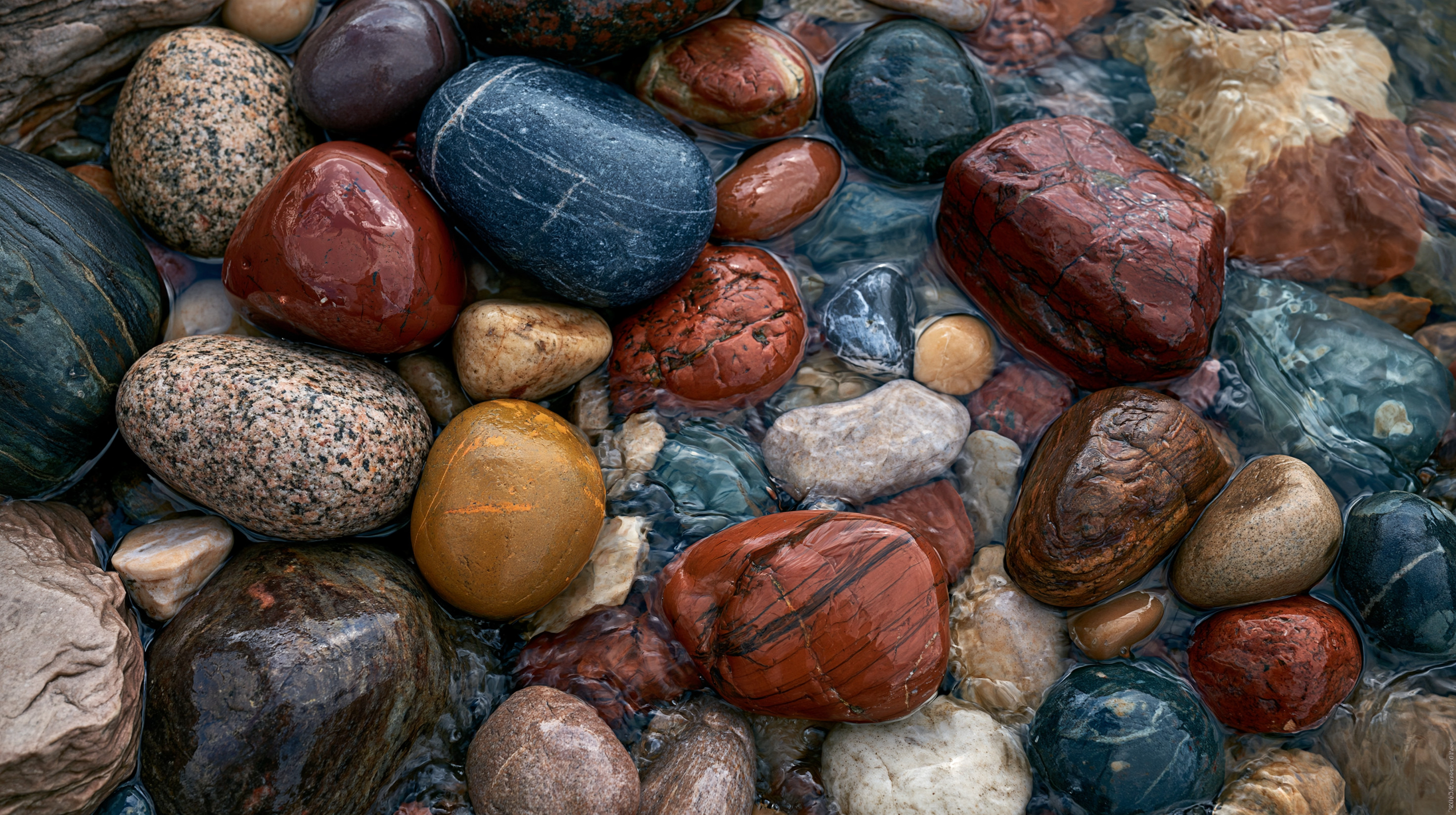 A detailed, close-up photograph of a variety of colorful, rounded wet stones and pebbles, including red jasper, dark basalt, and speckled granite, shifting under clear, shallow rippling water along a beach.